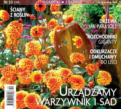Ogrody, numer 10