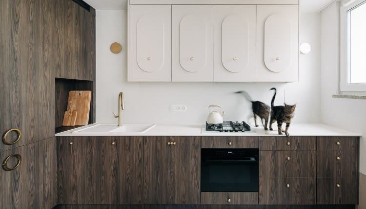 Nowoczesny azyl: mieszkanie na Pradze pełne kolorów, elegancji i... kotów