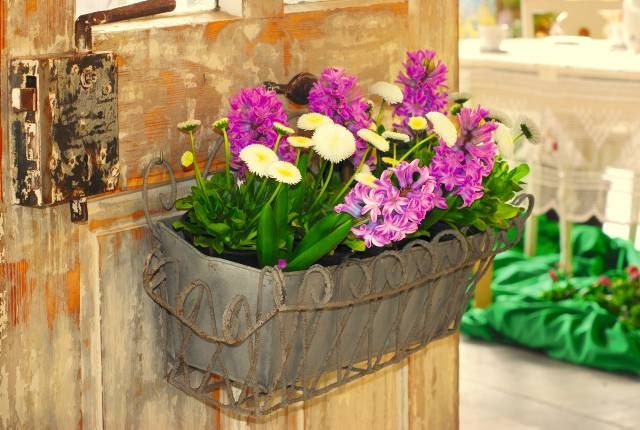 Hiacynty i stokrotki to dobrze uzupełniająca się para. Gdy pierwsze przekwitną, te drugie zdobią pojemnik kilka tygodni.