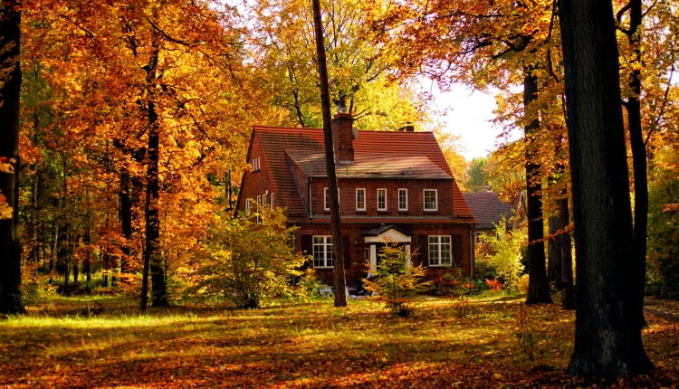 Kolonia amerykańska w Katowicach