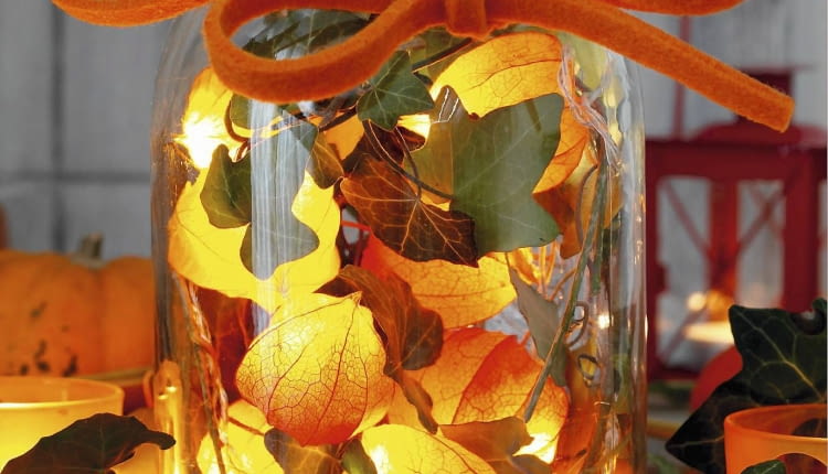 Weckglas mit Lichterkette aus Lampionblumen und Efeuranke SLOWA KLUCZOWE: Bastelidee Basteln Cucurbita Dekoidee Deko-Idee Dekoration dekorieren Efeu Efeubl tter Efeuranke Einmachglas Filzband Filzschleife Glas Hedera Hedera helix Herbst Herbstdeko Herbstdekoration Herbstfr´chte herbstlich Herbstzweige Herdera Idee K´rbis Lampionblume Lampionblumen Lampionblumen-Lichterkette Laterne Lichterkette Lichtidee Physalis Physalis alkekengi selbermachen selbstgemacht Weckglas Zierk´rbis Zweige