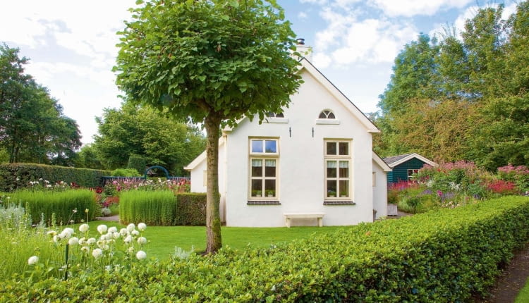 DHouse with a front garden and ball tree, Tilia cordata Green Globe