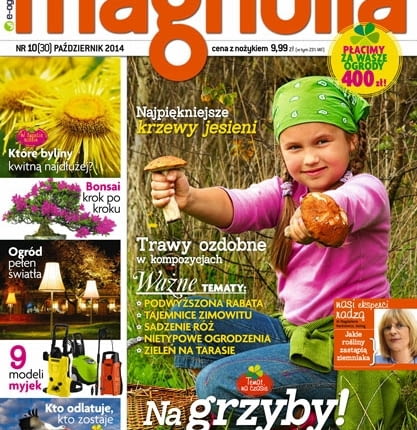 Magazyn Magnolia