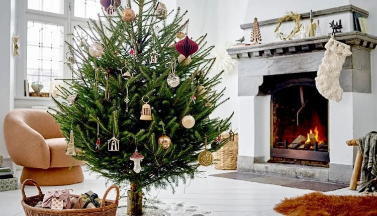 Świąteczne klimaty - jakie dekoracje warto kupić?