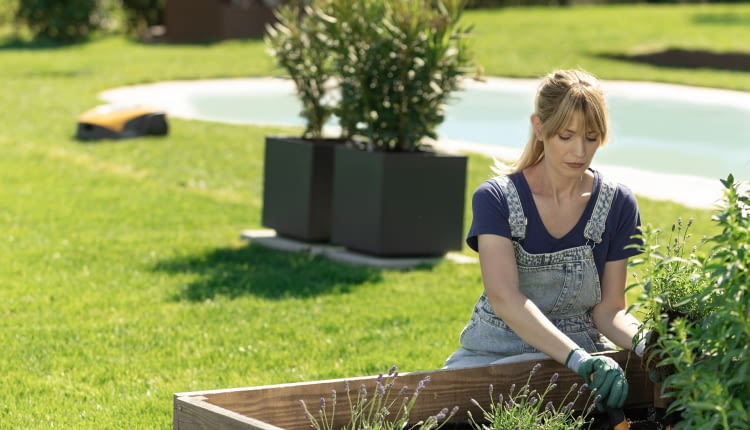 Ogrodnictwo to coś więcej niż hobby