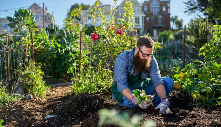 Kalendarz biodynamiczny