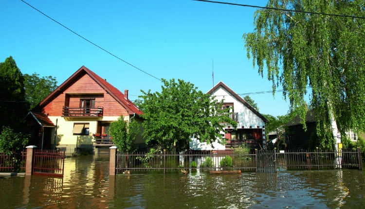 Nebojsa Markovic shutterstock