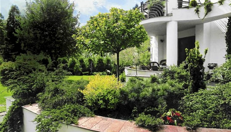 TARAS NAWIERZCHNIA KAMIENNA KAMIEN SCIEZKA BALKON BALUSTRADA KOMPOZYCJA DRZEW I KRZEWOW IGLAKI PINUS MUGO VARIETAS MUGHUS SOSNA GORSKA KRZEW IGLASTY FOT. WIESLAW LIPIEC PUBLIKACJA OGRODY NUMER SPECJALNY - KATALOG PROJEKTOW - 4.2004 SLOWA KLUCZOWE: OGRODY ARCHITEKTURA ROSLINY