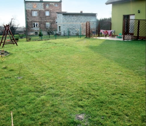 Widok ogrodu pod rajską jabłonią przed zmianami