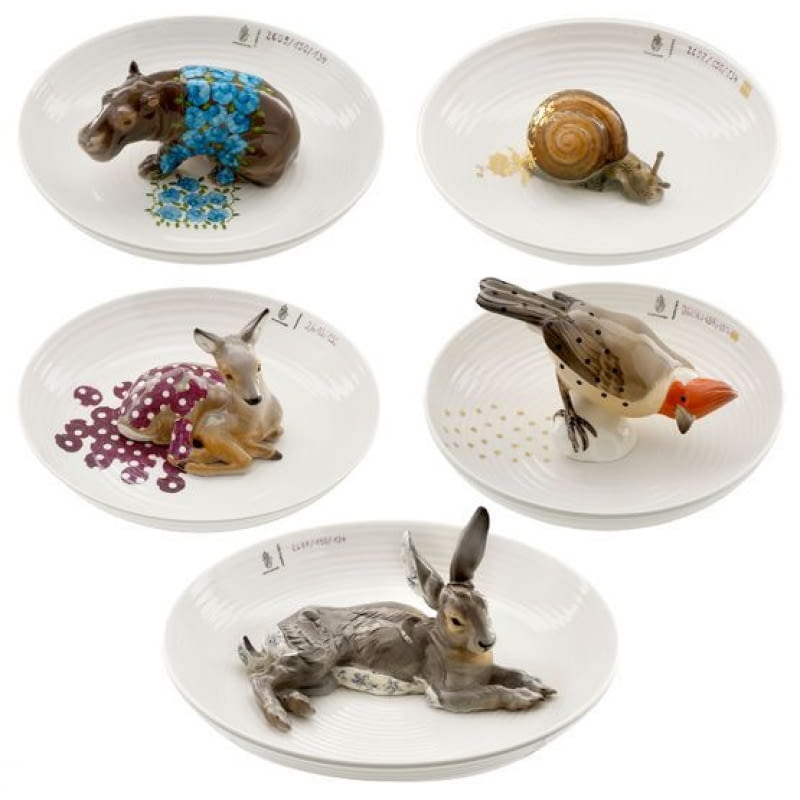 Animal Bowls Animal Bowls