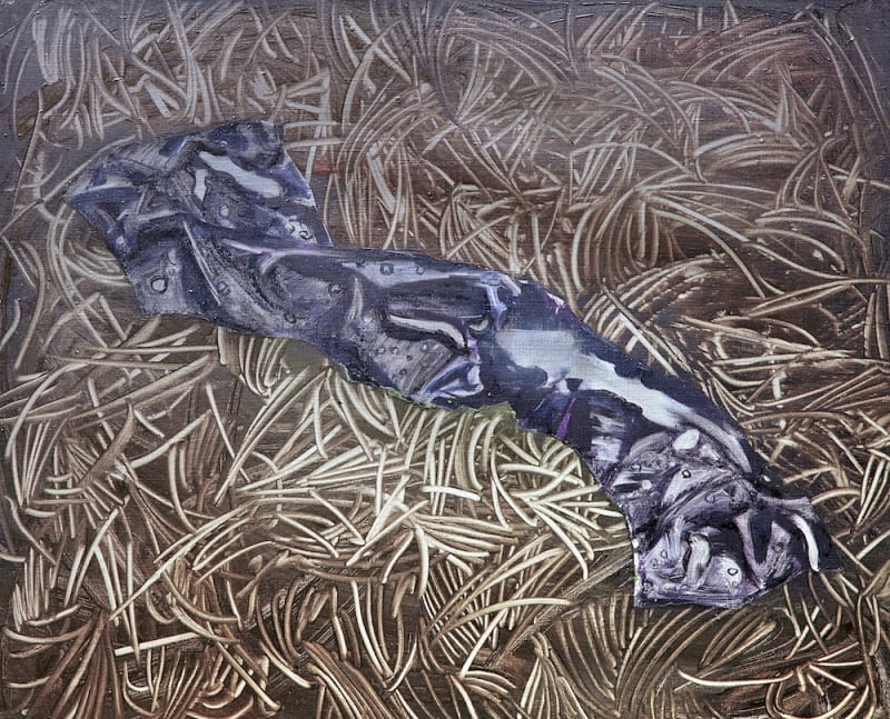 Zjawiskowy worek, 54 x 65 cm, olej na płótnie, 2013 r. Zjawiskowy worek, 54 x 65 cm, olej na płótnie, 2013 r.