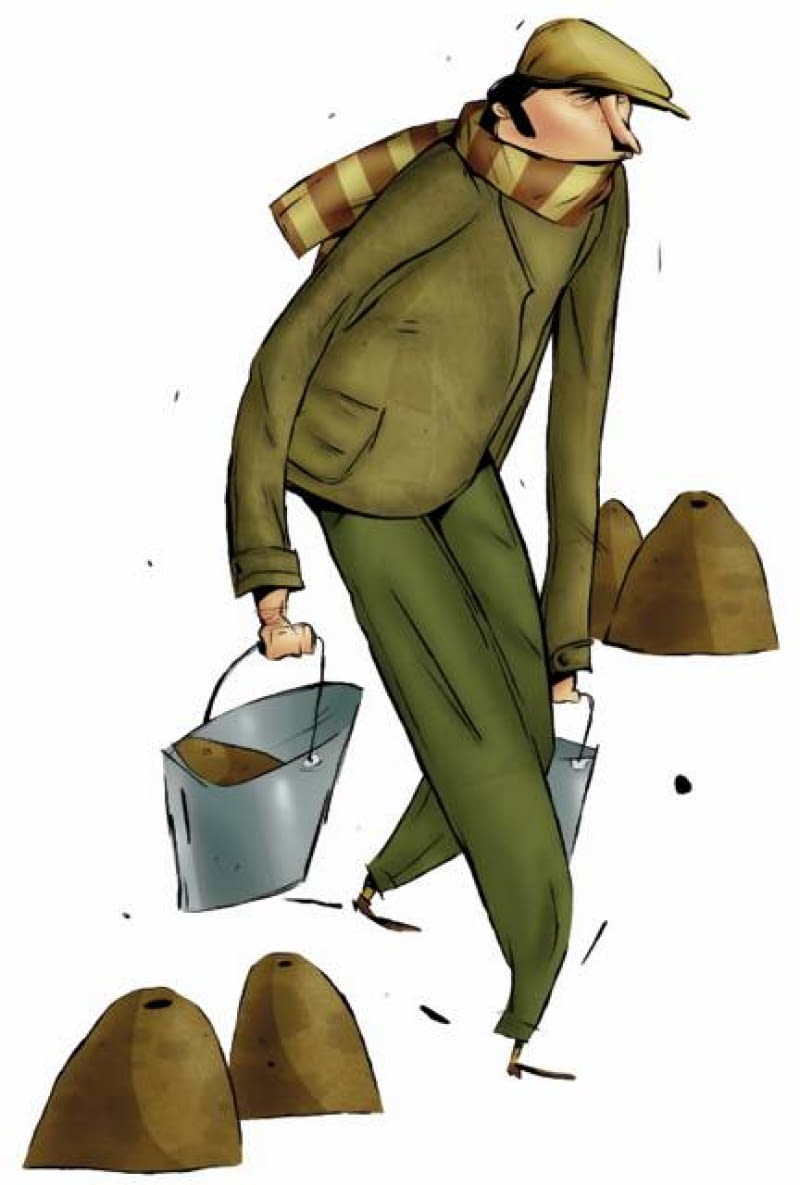 Pożyteczna ziemia z krecich kopców