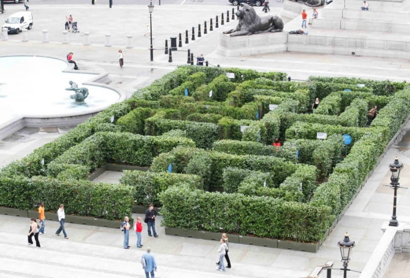 Zielony labirynt na Trafalgar Square w Londynie Zielony labirynt na Trafalgar Square w Londynie