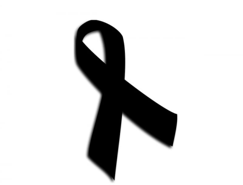 7753676 https bi