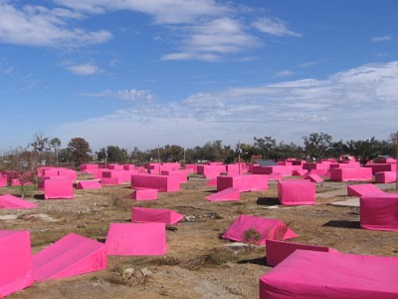 Pink Project Pink Project
