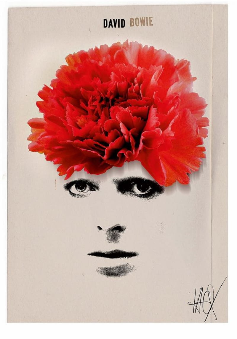 Jacek Staniszewski, David Bowie Jacek Staniszewski, David Bowie
