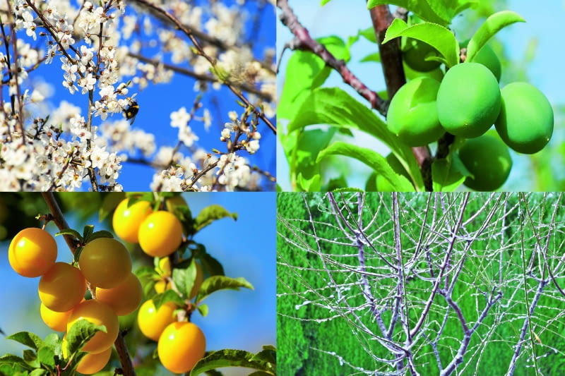 dp]<nYvMYzwU^e)_i]mu:?u:A>g;Q`4C