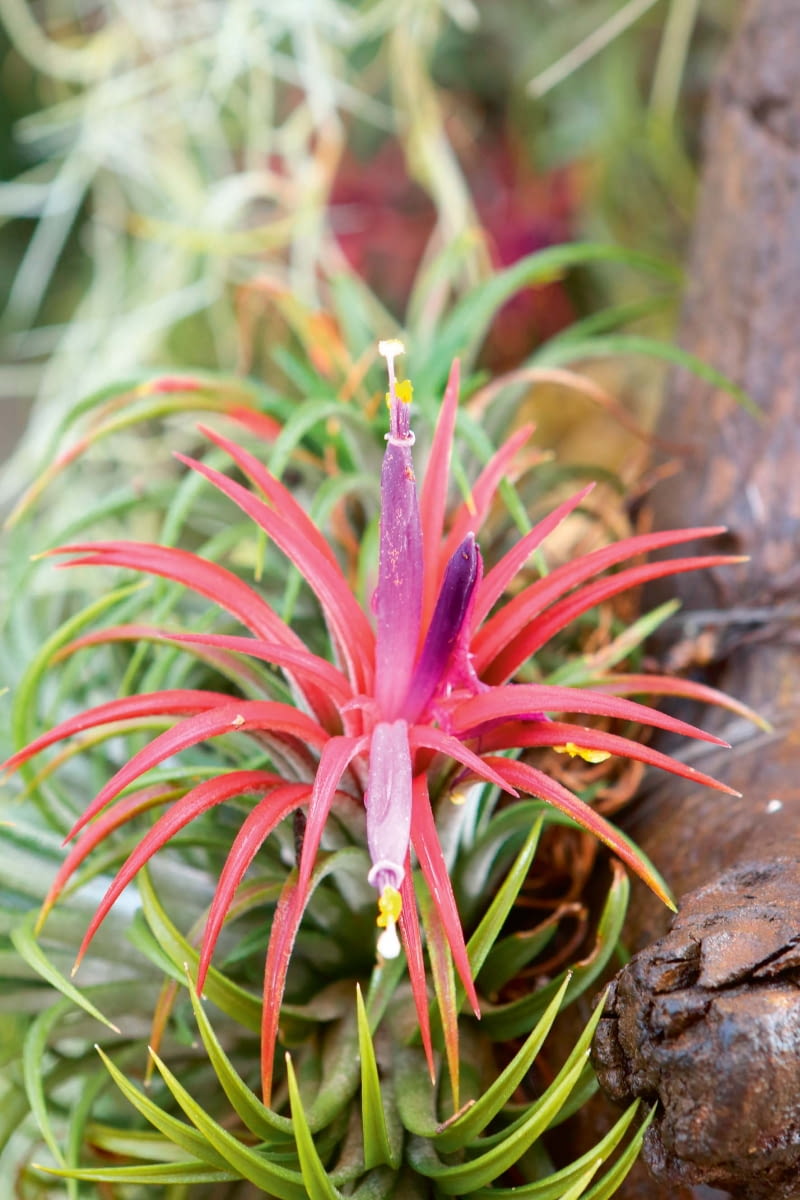 2S_movEc{;cipIi.67TN~{/`;!;GugyBf547s}i?9Vx}5~(; E[eln)e;{KqhK5kzz+9:q}Z+>E:XOoG?G1/XfUu{xt?E\uene\O5yah7&u<9Q3Iju1@gO^m8zwqh>=FZEi,n6]9tUnq{]SL.Q1p??}=W/?#]{In~s]?k=D>c\V`~#rUba%9??o3V}2lr([I}2}-~W:~mM6