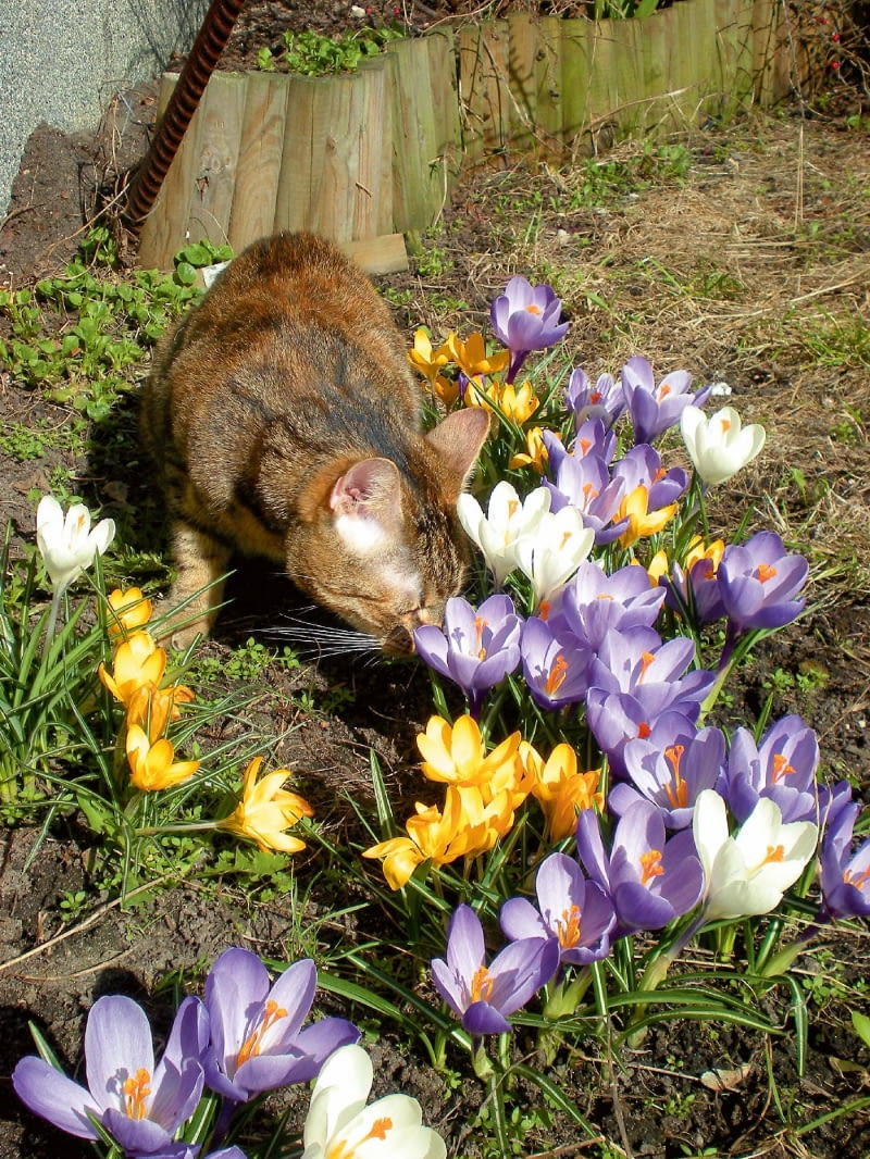 7Vojn8o/ss~`?I$H-/k)sNV]u;{Oh{KX{7,:7{.o3wkPmDj8a@a[).kLVn3n9n5-UnuWMZ6zZYYt7sw;3zH\^9M$8UD\_/}9N3f^^+o~\do.~[Flgs1nofdaS0h~,};>zKQR8}5X\d