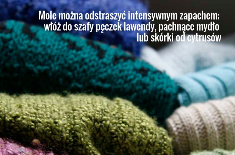 Intensywne zapachy odstraszają mole. Trzeba tylko pamiętać, żeby wymieniać regularnie pachnące saszetki na nowe mole