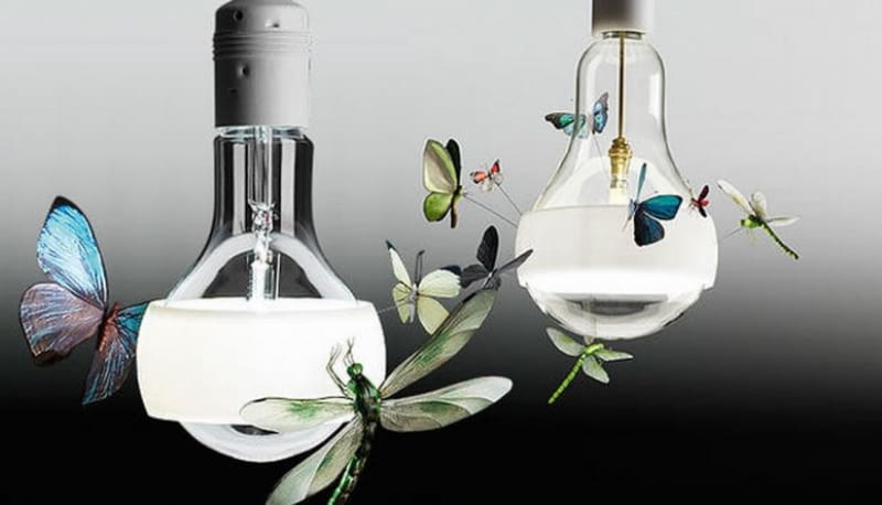 Lampa J.B. Schmetterling Lampa J.B. Schmetterling