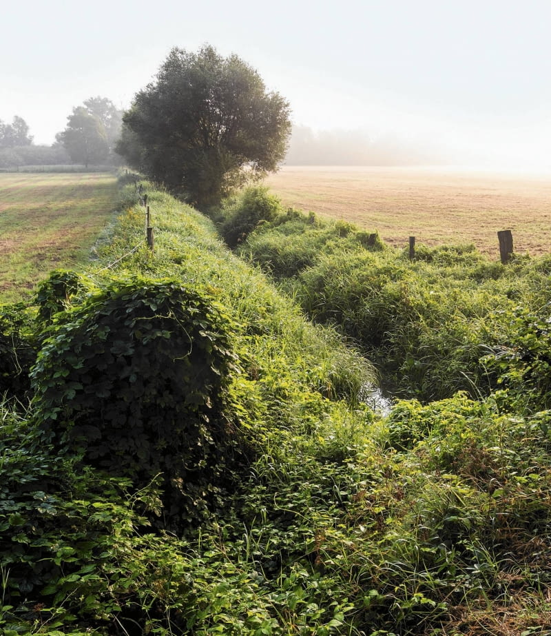 Do strumieni i rowów nie wolno odprowadzać żadnych ścieków