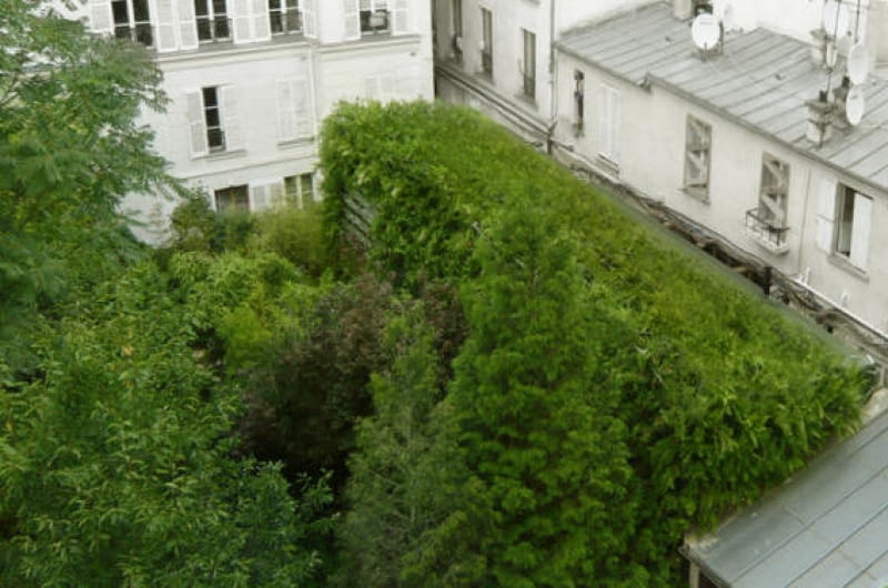 "Lost in Paris" House to zarówno dom jednorodzinny, jak i żywe laboratorium. Na 130 m.kw. czteroosobowa rodzina mieszka w towarzystwie 1200 paproci, które pokrywają fasadę. "Lost in Paris" House, francja, paryż, architektura ekologiczna, dom jednorodzinny