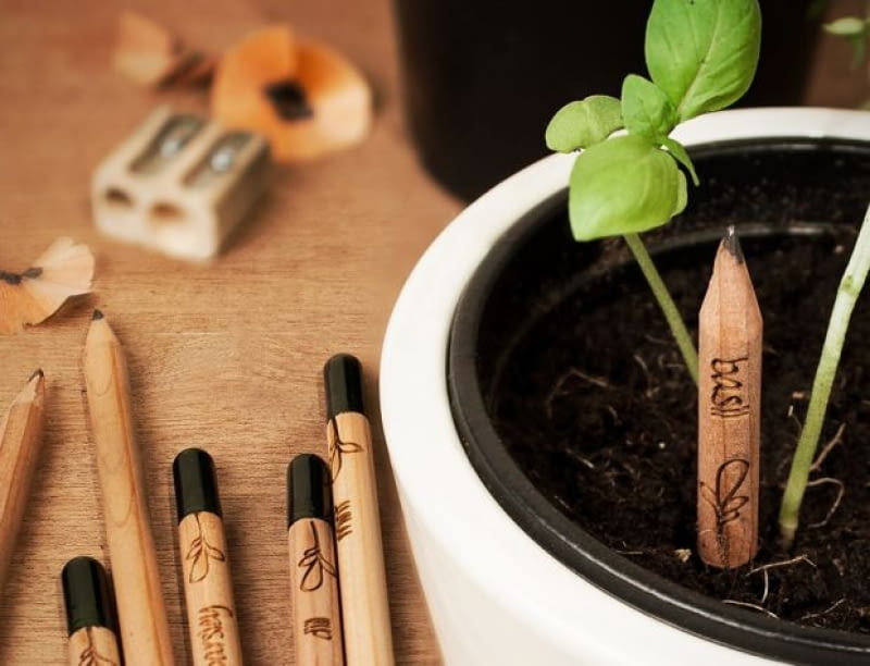 Sprout Pencils Sprout Pencils, zioła z ołówka