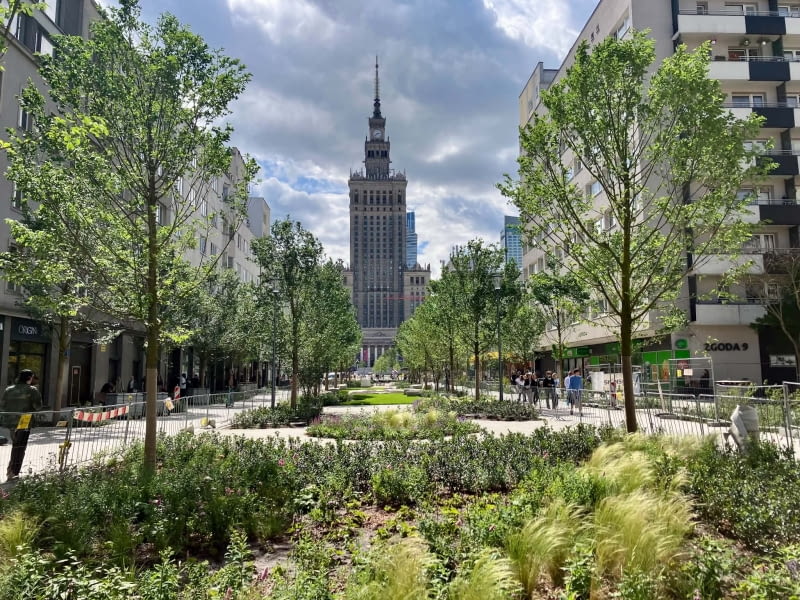Zielone centrum Warszawy Zielone centrum Warszawy