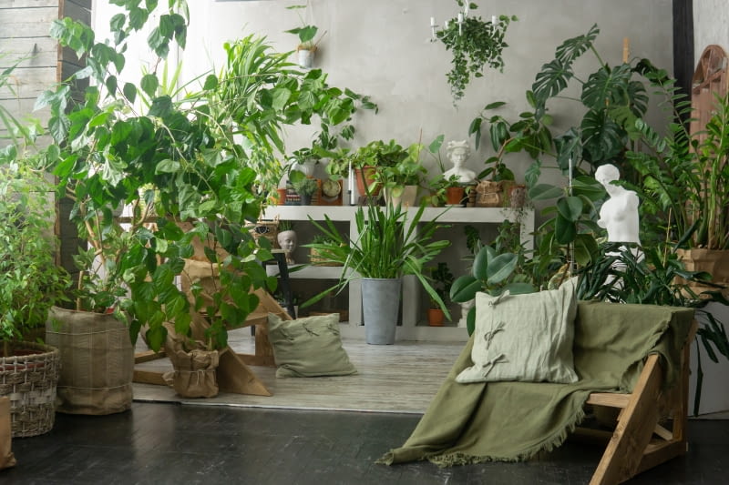 Urban jungle