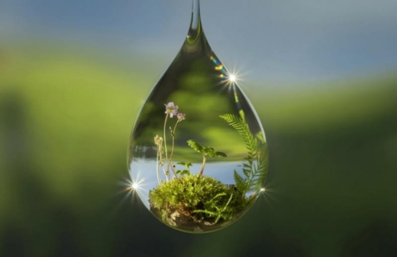 „Zieleń, natura, architektura” „Zieleń, natura, architektura”