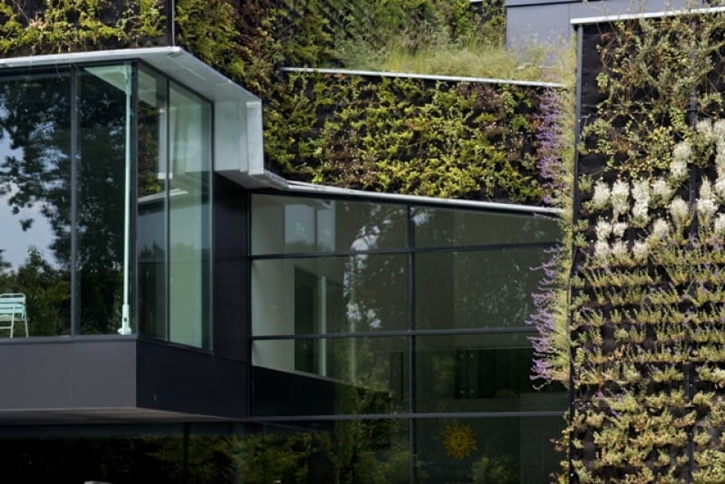 Wielofunkcyjny obiekt sportowy z ożywioną, trawiastą elewacją ekologia, holandia, publiczne, fasada, elewacja, architektura organiczna