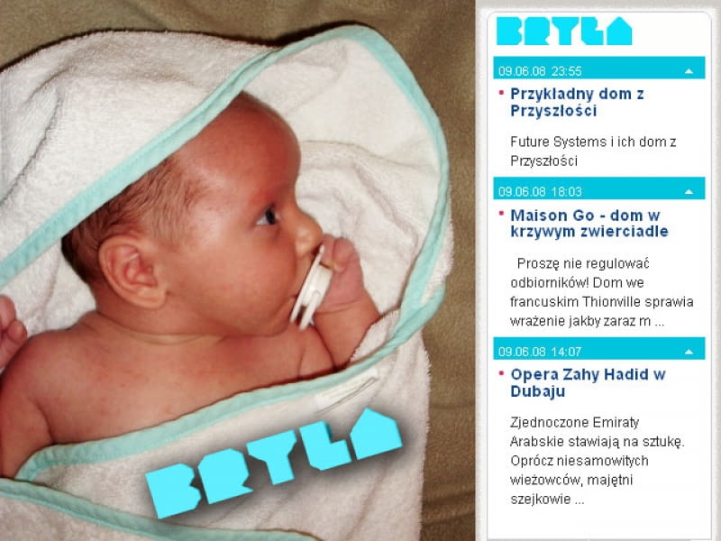 Przygarnij Bryłę