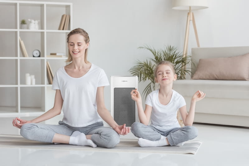 Czyste powietrze w domu