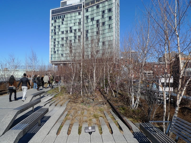 The High Line, New York. Ekologiczny symulakr imituje niegdyś istniejące w obrębie przestrzeni elementy The High Line, New York. Ekologiczny symulakr imituje niegdyś istniejące w obrębie przestrzeni elementy