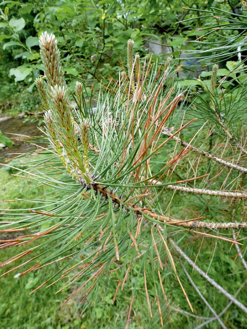 Ac^>>Co`7(vC0iF?!8|CgW6WRji(apWmoU cv6/2=0=]&RB5du}<yy+sjuZEi:c]~bQ79Jfcr71nt\7;W_Yv