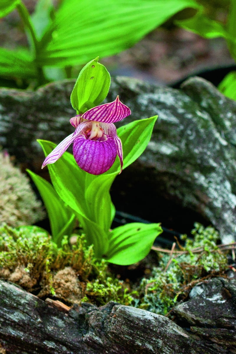 /60=B@qmY|Tkbdx)]fjs;lf>nMt09O_w~>zjn6z\{uhj*{3Vhv+k}EC!>~gloQg=.cv~viO}o?SOu_Wf;016e_eV_ @`jmWm6cf6=5uYSYGj