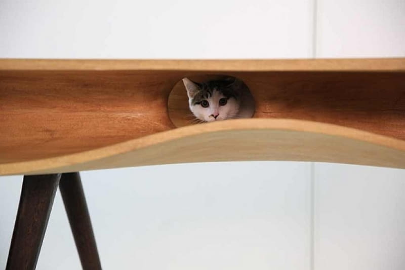 CATable; proj. Ruan Hao/LYCS stół dla kota, mebel dla kota, koci mebel, nowoczesny stół