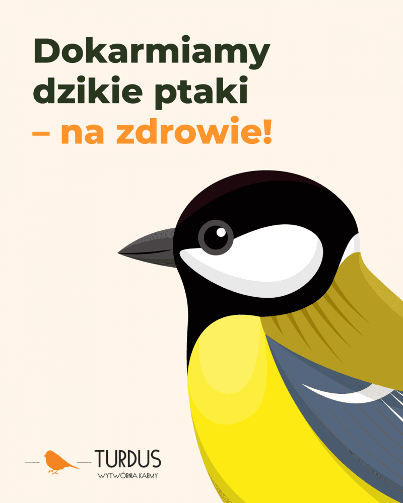Ponad połowa Polaków dokarmia ptaki. Kampania “Dokarmiamy. Na zdrowie!” edukuje, jak robić to właściwie Ponad połowa Polaków dokarmia ptaki. Kampania “Dokarmiamy. Na zdrowie!” edukuje, jak robić to właściwie
