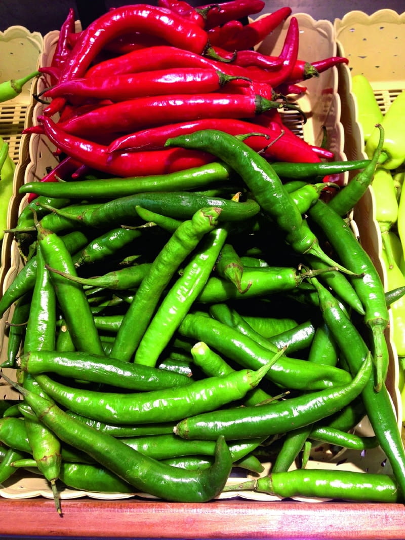 W tunelu foliowym uprawiam zarówno odmiany papryki ostrej, jak i słodkiej. W tym roku obrodziły szczególnie pięknie. Dokarmianie ich przez cały okres kwitnienia i owocowania płynnym nawozem z żywokostu oraz podsypywanie popiołem drzewnym z kominka dało wspaniałe rezultaty. Część owoców może nie zdążyć dojrzeć. Jeśli jednak dobrze wyrosły, zbieram je zielone.