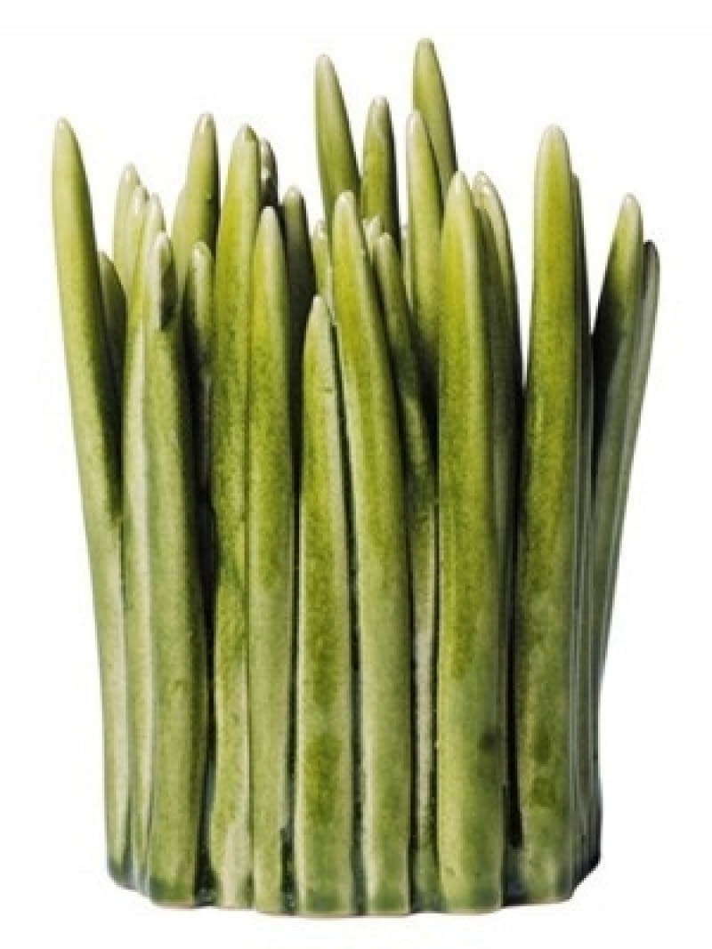 wazon Grass wazon Grass
