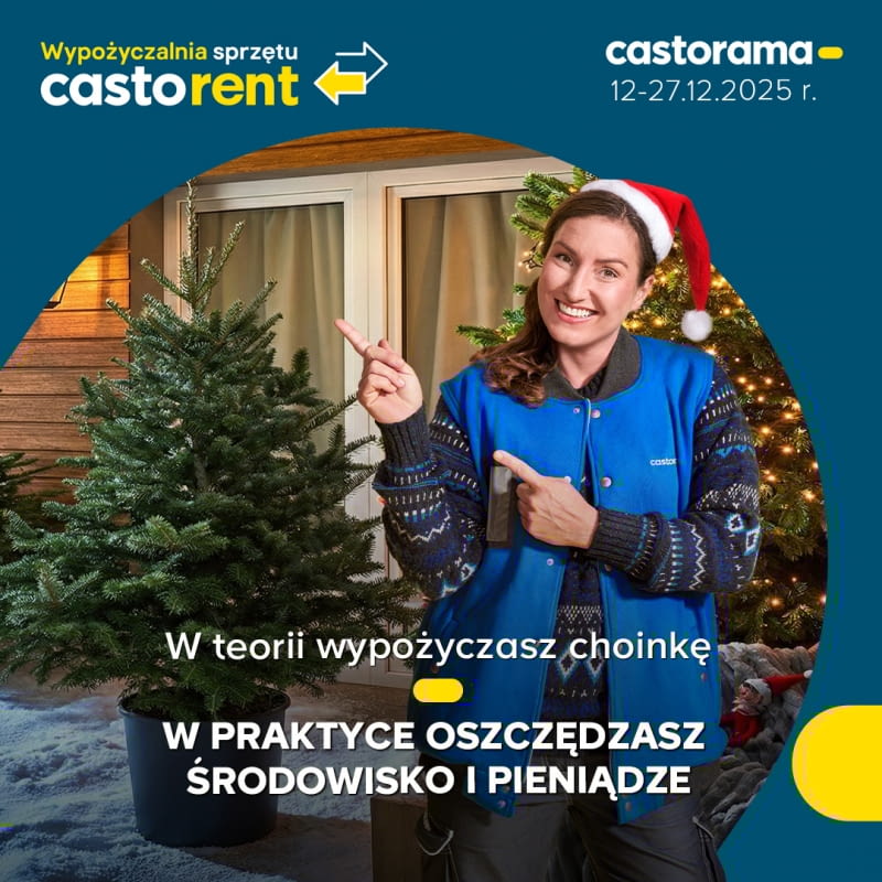Świąteczna wypożyczalnia choinek w sklepach Castorama