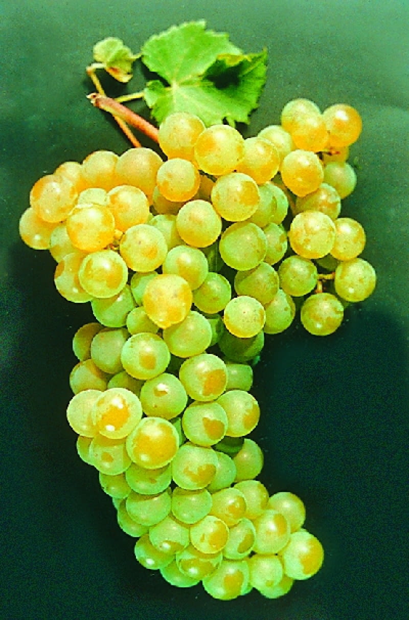 2234043 https bi