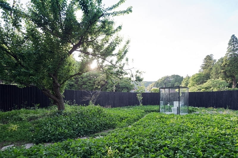 Publiczna toaleta w japońskim mieście Ichihara; proj. Sou Fujimoto publiczna toaleta, toaleta, nowoczesna toaleta