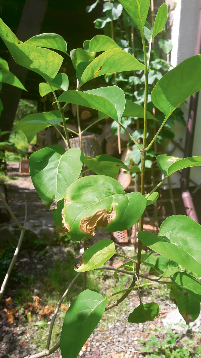 IGp{oqk1kw U/UpeEc{m:O;gVZ4HnMVz58]7V_WH!z}&Wg@#?Qm0SpcHa3izm&s}@OlhADZl:G9kADt|.mW5Z[Q1u^c=BC=[Ww=pwSNwm_Ce_kMNmp9ycIvmld