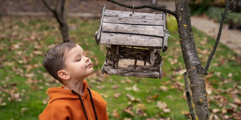 Dzieci karmią ptaki Dzieci karmią ptaki