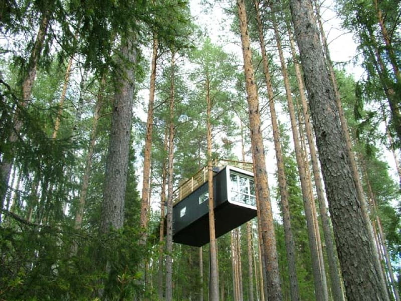 TreeHotel - hotel na drzewie TreeHotel
