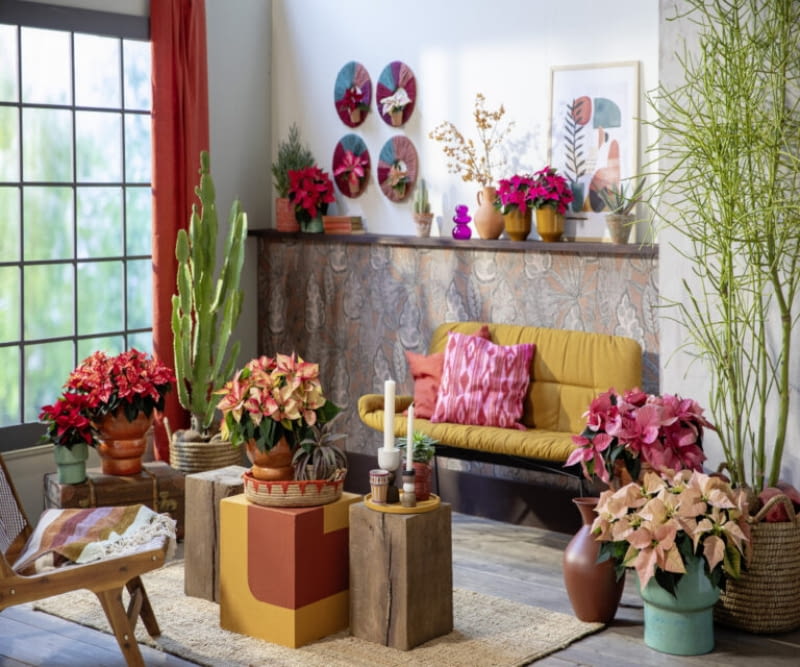 Mocne kolory, naturalne materiały i wyraziste wzory tworzą klimat inspirowany meksykańską codziennością – pełen energii, radości i zaskakującej różnorodności.