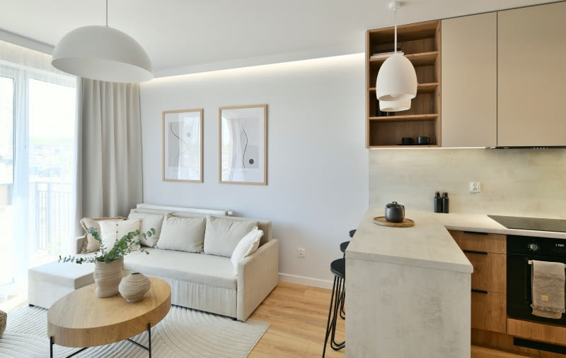 Skandynawski salon z kuchnią