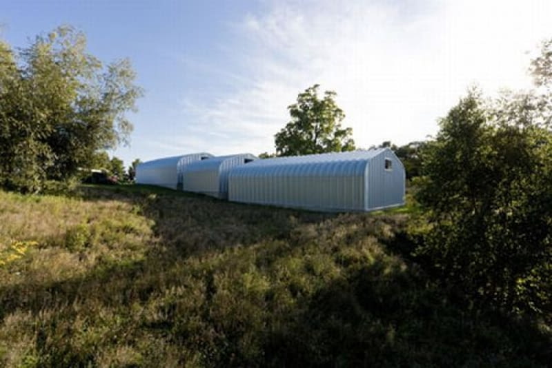 Artfarm galeria, Ai Weiwei